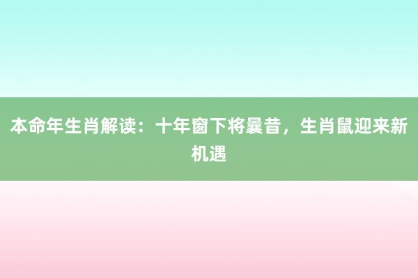 本命年生肖解读：十年窗下将曩昔，生肖鼠迎来新机遇